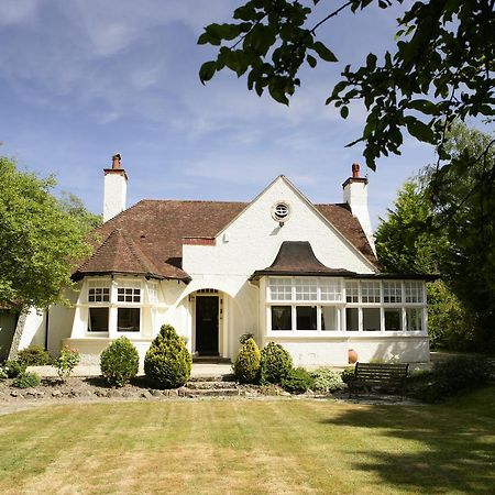 Daisybank Cottage Boutique Bed And Breakfast Брокенхърст Екстериор снимка