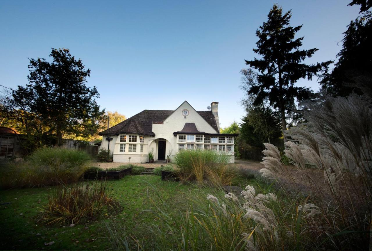 Daisybank Cottage Boutique Bed And Breakfast Брокенхърст Екстериор снимка