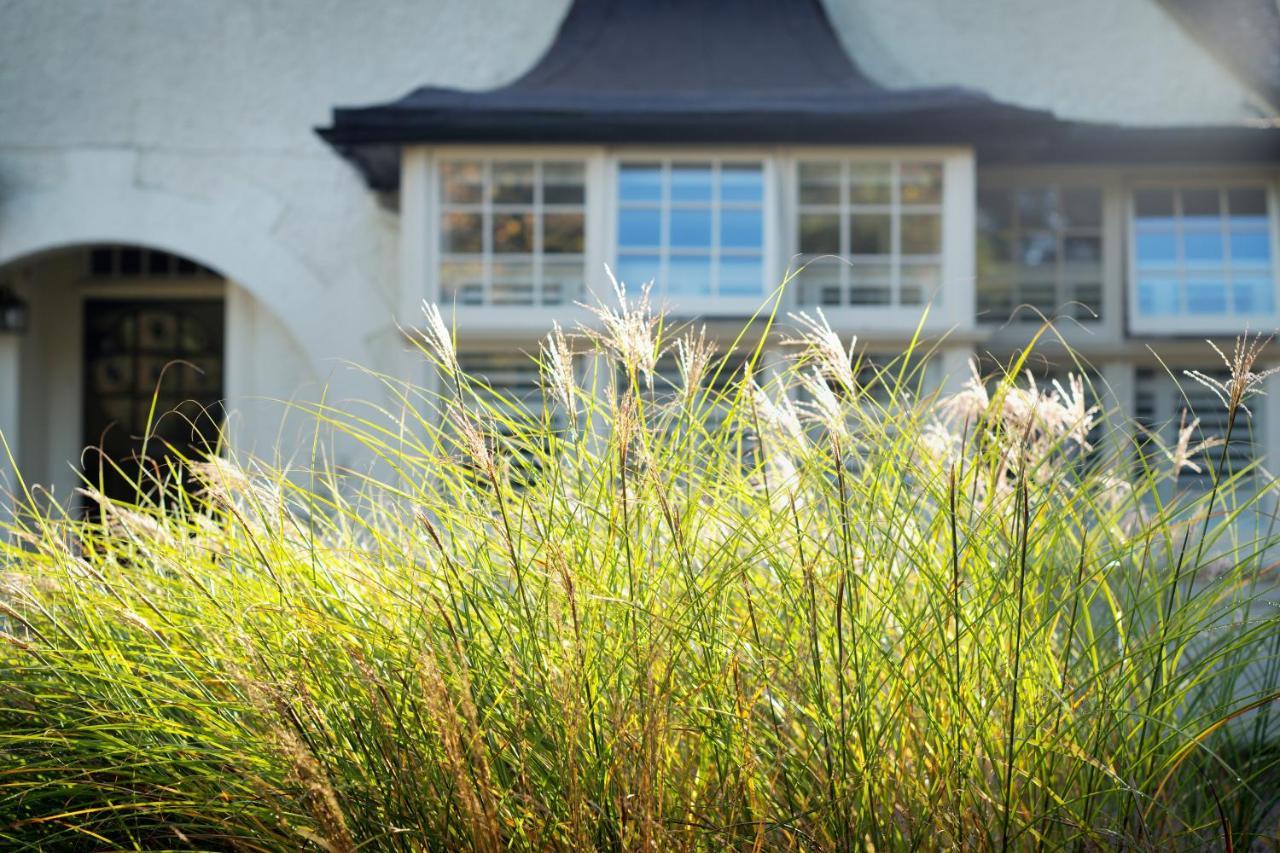 Daisybank Cottage Boutique Bed And Breakfast Брокенхърст Екстериор снимка